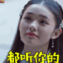 斗破苍穹吴磊林允GIF表情(斗破苍穹吴磊超搞笑动态表情素材包) 无水印版