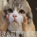 我这么可爱表情(萌萌哒可爱猫咪表情素材包) 高清版