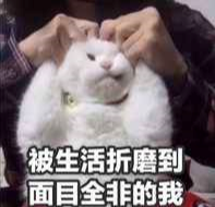 我与生活表情系列表情包下载(生活与我系列表情包)V2018 最新版