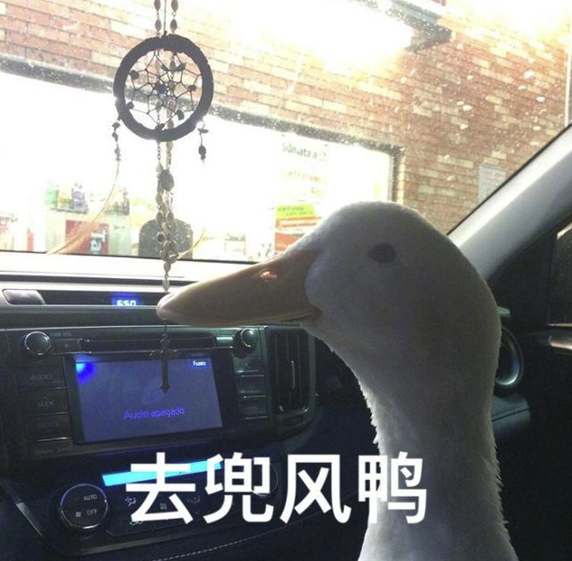 尼在干嘛鸭表情包下载(今天也要美美的鸭搞笑鸭子表情包)免费版