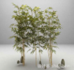 竹子植物3d模型下载(竹子园景设计3dmax模型辅助文件)V1.00 免费版