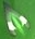 暗夜翡翠动态鼠标指针主题包(暗夜翡翠鼠标指针免费下载) 绿色版