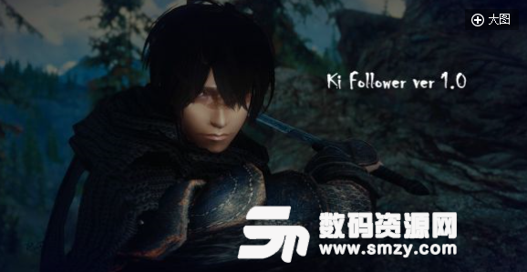 上古卷轴5天际独立随从辉MOD(上古卷轴5独立随从模组)V1.1 正式版