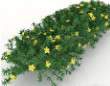 绿化带植株3d模型下载(室外绿化植物3dmax模型辅助文件)V1.00 免费版