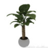 室内盆栽绿色植物3d模型下载(室内盆栽绿植3d模型辅助文件)V1.00 免费版