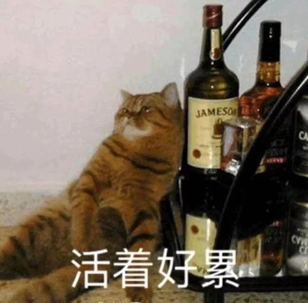 不想面对生活表情包下载(消极悲观表情包合集)最新版