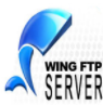 Wing FTP Server(跨平台FTP文件传输服务器)V4.6.3 正式汉化版