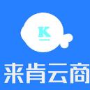 来肯云商进销存(专业进销存管理工具)V1.1 最新版