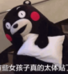 有些女孩子真的太体贴了QQ表情包(熊本熊内涵表情素材)V1.0 