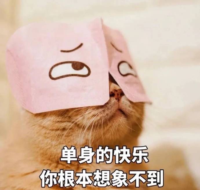 单身的快乐你根本想象不到表情包下载(单身万岁表情包)无水印版