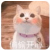 可爱猫咪带文字QQ表情包(猫咪带文字表情图片)V1.0 免费版