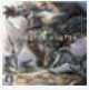 怪物猎人世界蛮颚龙的新外观MOD(怪物猎人世界蛮颚龙外观修改)V1.1 绿色版