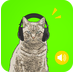 人狗人猫交流器(动物交流器)V7.6 安卓免费版