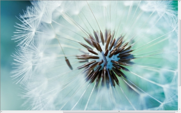 All网站图片批量下载器(all网站图片下载软件)V3.20.12.2 中文版5